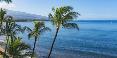 Kihei Things to Do